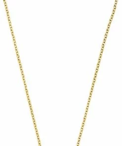 Budget 🤩 DYRBERG/KERN Ette Metal Halskæde Guld, Klar 🎉