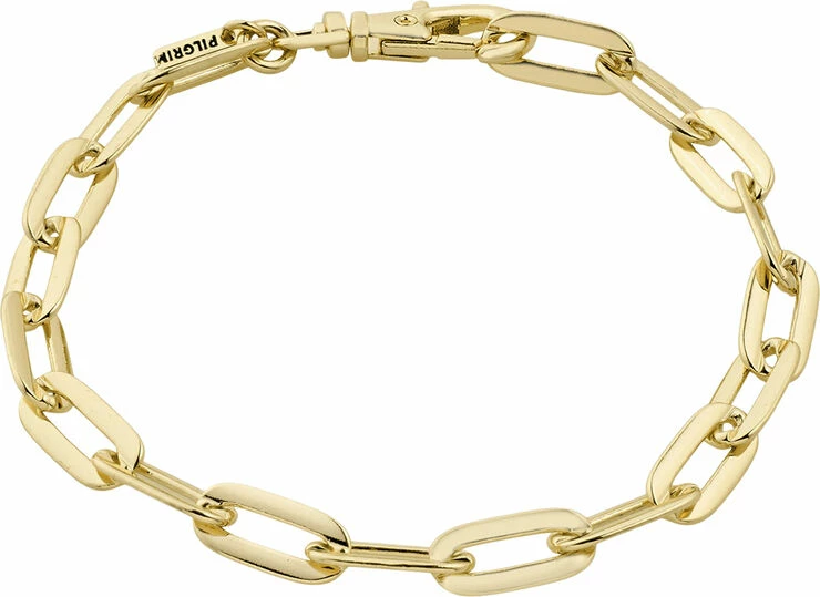 Bedste anmeldelser af ⭐ Pilgrim KINDNESS Recycled Cable Chain Bracelet Gold-plated ✔️